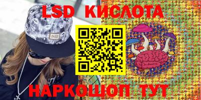 СК Будённовск