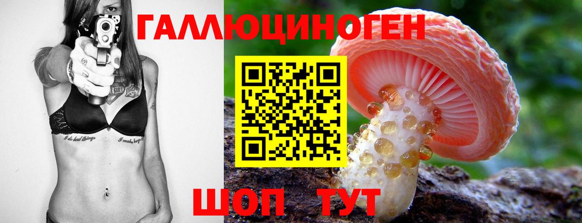 Псилоцибиновые грибы MAGIC MUSHROOMS  Вход с VPN  Новодвинск  купить закладку  Псилоцибиновые грибы мицелий 